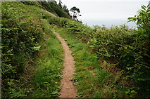 SX9050 : Coast path, heading towards Inner Froward Point by jeff collins