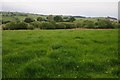 View across farmland to Bryn