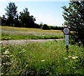 No Vehicles on the Common notice, Colt