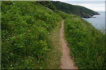 SX9050 : Coast path, heading towards Pudcombe Cove by jeff collins