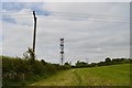 SJ8048 : Alsagers Bank: mast north of High Lane by Jonathan Hutchins