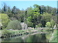 The River Lea Navigation (2)