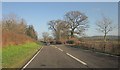 A40 near Cwmifor