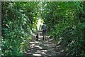 Footpath near Manor at South Petherton