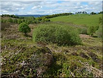NS3678 : Former site of rifle range's flagstaff by Lairich Rig