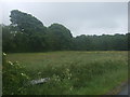 Farmland near Little Blythe Farm