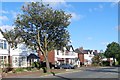 Houses on Stapleton Avenue