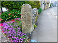 Cut Mark Cotefield Cottage Castleton