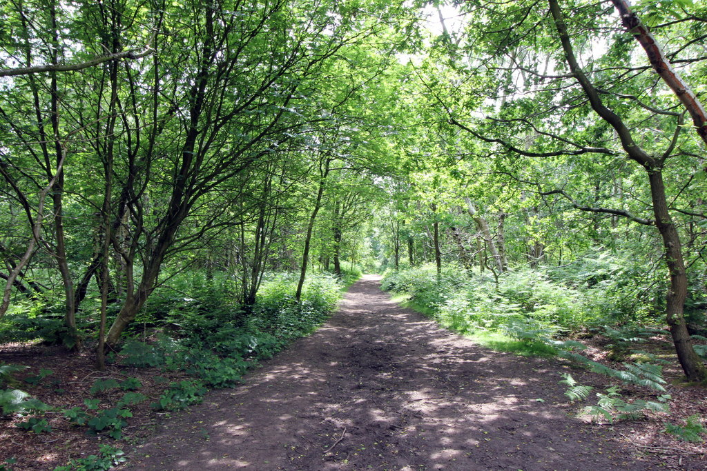 Little Budworth Country Park © Jeff Buck :: Geograph Britain and Ireland