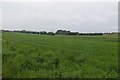 Arable land on the edge of Dundee