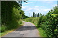 The lane to Sunhill Farm