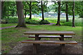 Picnic table at Normandy Common