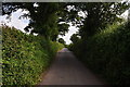 Mid Devon : Country Lane