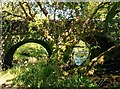 NY9549 : The Bridge at Baybridge by Dennis Lovett