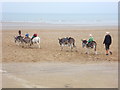 Donkey rides at Mablethorpe