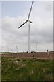 SH8459 : Wind turbine by Philip Halling