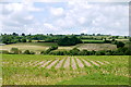 Fields at Damas Lawn Bridge