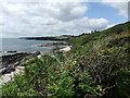 Coastline near Portscatho