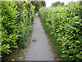 Footpath from York Drive to Grange Road