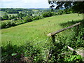 Crundale Downs