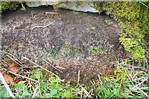 NY6417 : Benchmark on wall stone on NW side of Brackenslack Lane by Roger Templeman