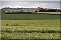 Mid Devon : Countryside Scenery