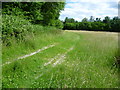 Footpath towards Hall Farm