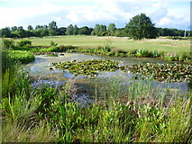 TQ3994 : Pond on the Royal Epping Forest Golf Course by Marathon