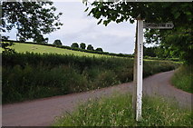 SS9101 : Mid Devon : Country Lane by Lewis Clarke