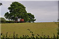 SS9001 : Mid Devon : Grassy Field by Lewis Clarke