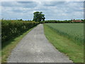 Track to Glebe Farm