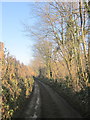 Lane near Benoak