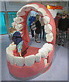 A denture playground, Halifax