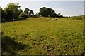 Farmland near Trefechan