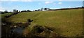 Pond below Barrow Hill Fort, Milborne Wick