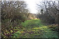 Footpath on Corfe Common