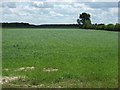 Farmland near Court House Farm