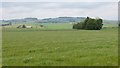 Field near Bractullo Mill