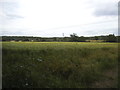 TQ1993 : Field by Clay Lane, Edgware by David Howard
