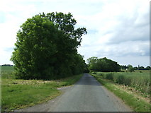 TF1381 : Minor road towards West Torrington  by JThomas