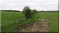 Fields near Southwaite