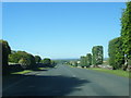 B7024 passing clipped hedges