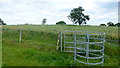 Kissing gate but no path