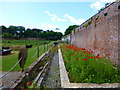 Walled garden at Stackpole