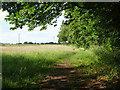 Footpath north from Blackbridge Lane