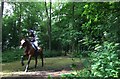 SK2014 : Catton Park Horse Trials: racing through the wood by Jonathan Hutchins