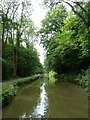 ST7860 : The Kennet & Avon canal SE of Limpley Stoke by Rob Farrow