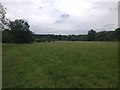 Field view on the Harry Green Way