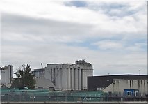 O1834 : The former Odlum Flour silos at Dublin Port by Eric Jones