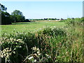 Looking across the fields from Hastingwood Road